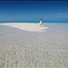 Sand Bank